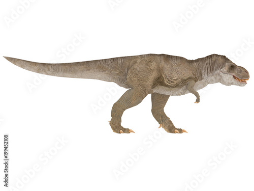 Tyrannosaurus Rex or T-rex from different point of view like top front or side isolated on a white background 3d rendering