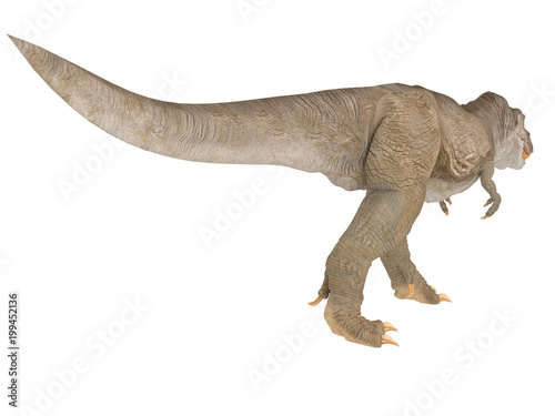 Tyrannosaurus Rex or T-rex from different point of view like top front or side isolated on a white background 3d rendering © juancamilo