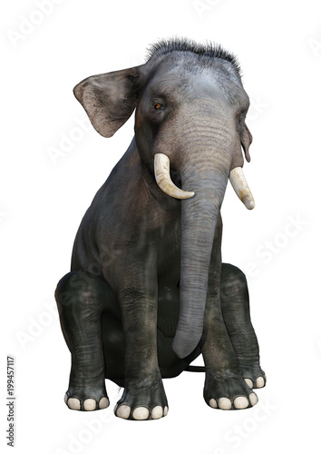 3D Rendering Indian Elephant on White