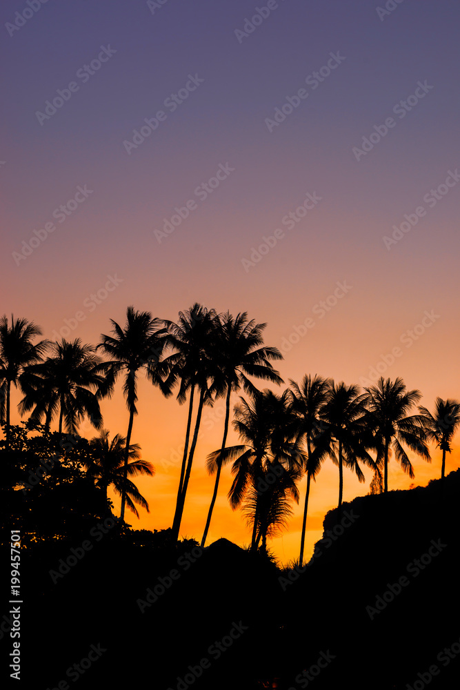 Tropical beach at sunrise