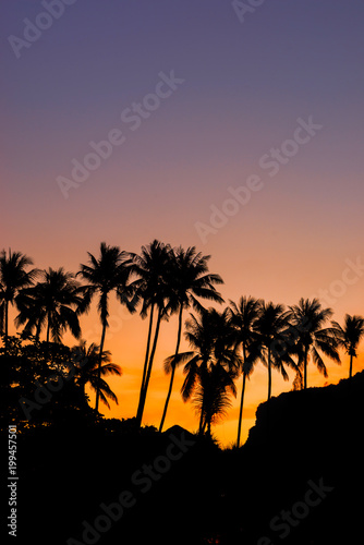 Tropical beach at sunrise © Netfalls