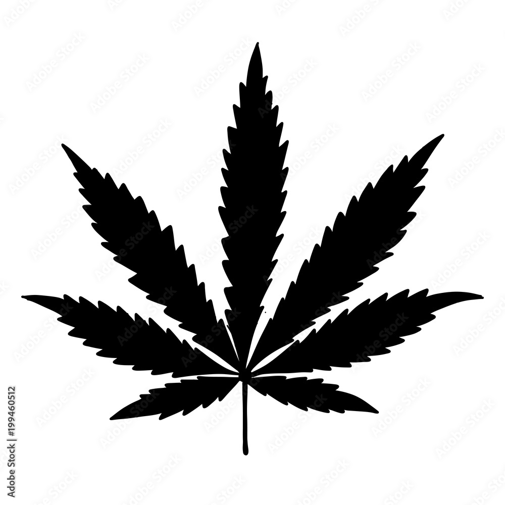 Cannabis leaf, sketch for your design Cannabis leaf, sketch for your design