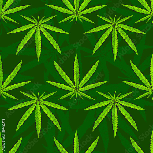 Vector Medicinal plants.