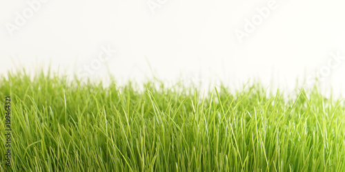 green grass meadow background blades of grass green nature lawn