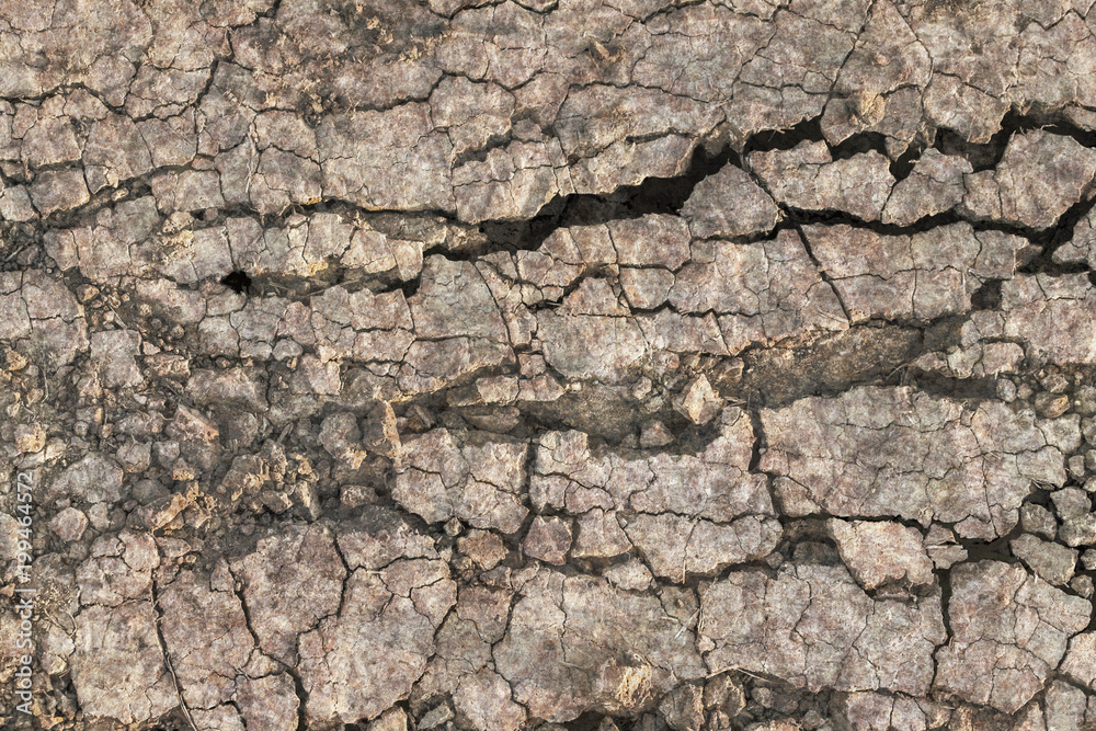 Dry Barren Scorched Soil Cracked Rough Desolate Grunge Surface Dry Barren Scorched Soil Cracked Rough Desolate Grunge Surface