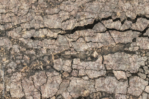 Dry Barren Scorched Soil Cracked Rough Desolate Grunge Surface