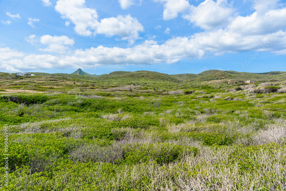 Shete Boka National park - Amazing landscape scenery around the small Caribbean island of Curacao in the ABC islands - Crashing waves at the beach and the beautiful coastline