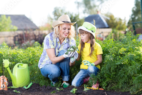 Gardening and planting. Woman with kid plant strawberry seedlings into garden bed