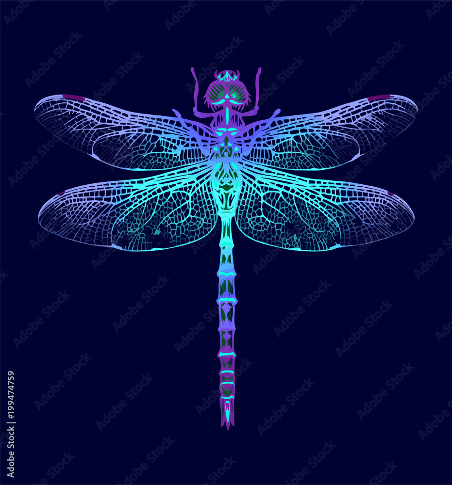 Dragonfly. Seamless Pattern. Dark blue backgrounds. Summer night.