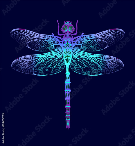 Dragonfly. Seamless Pattern. Dark blue backgrounds. Summer night.