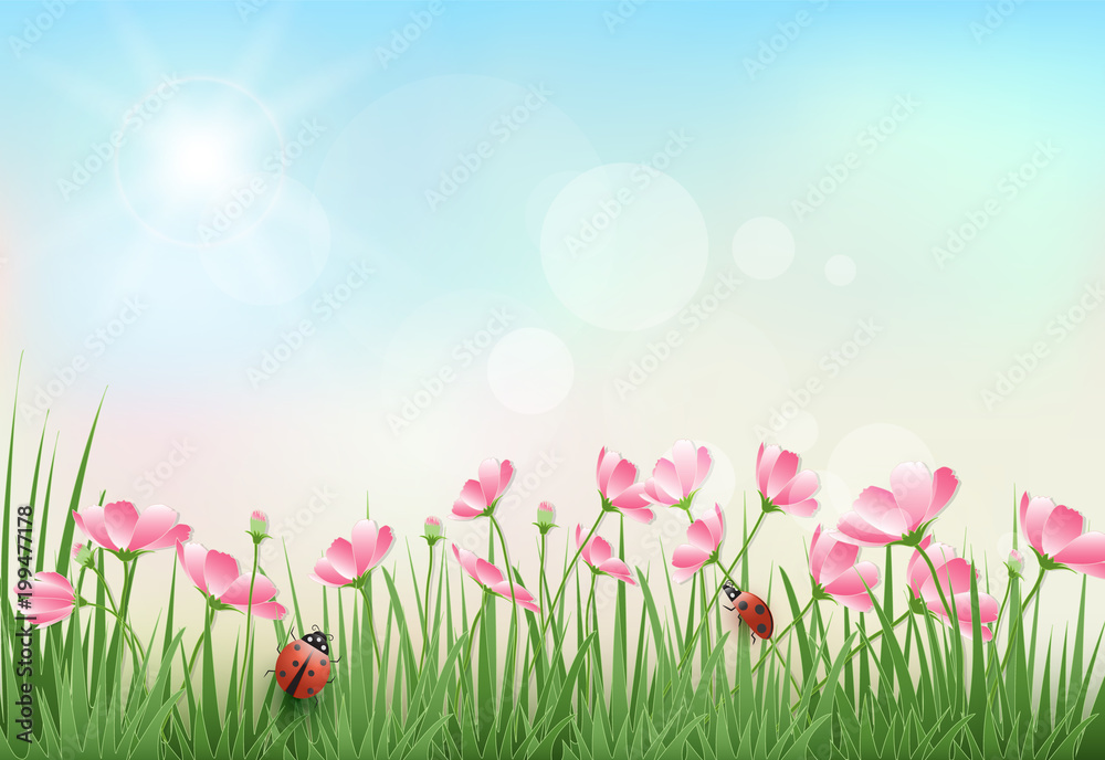 Cosmos flowers and blue sky spring season paper craft background Cosmos flowers and blue sky spring season paper craft background