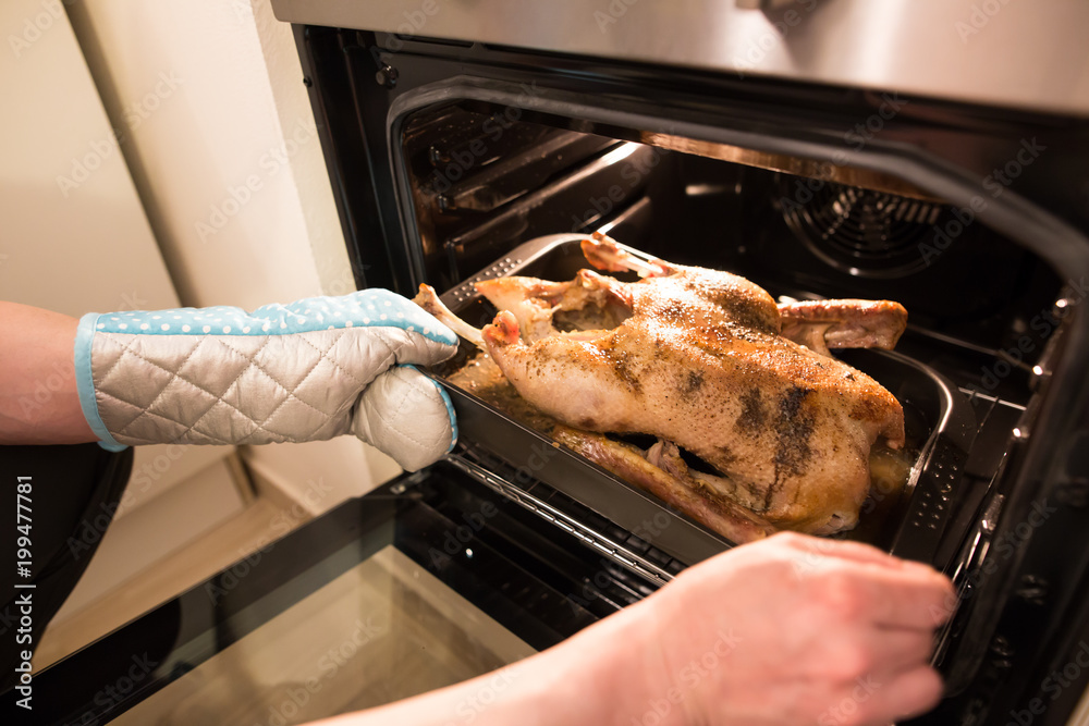 Young man pulling out delicious, roasted goose from the modern oven Young man pulling out delicious, roasted goose from the modern oven