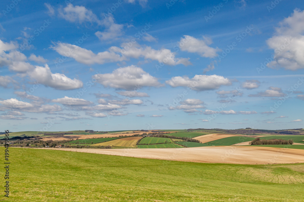 South Downs Landscape in Spring