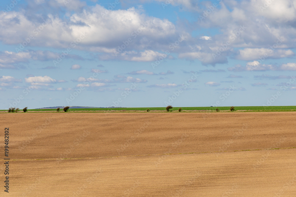 Obraz premium South Downs Landscape in Spring
