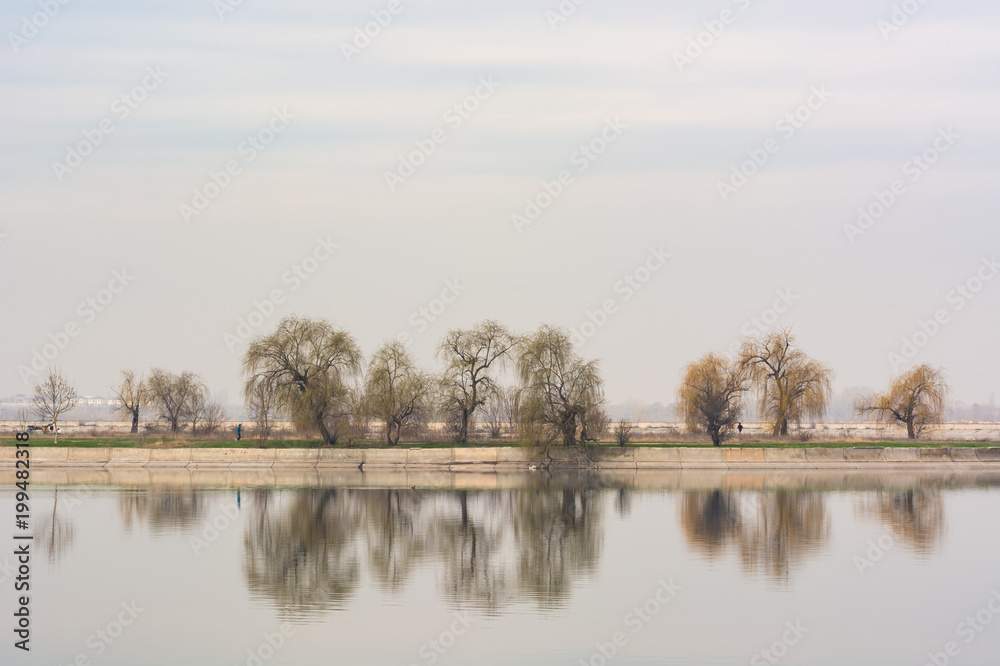 A Cloudy Day with Beautiful Tree Reflections A Cloudy Day with Beautiful Tree Reflections