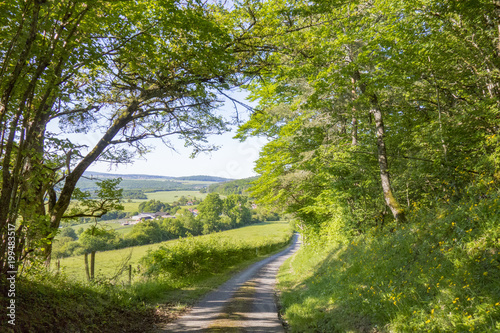 Route de campagne