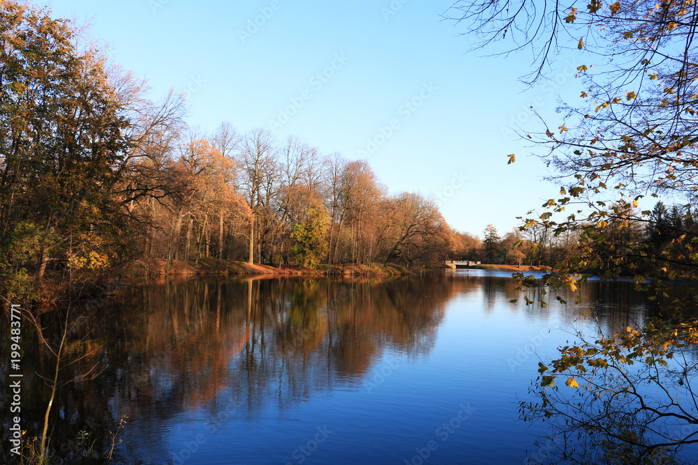 autumn trees on the shore of a pond