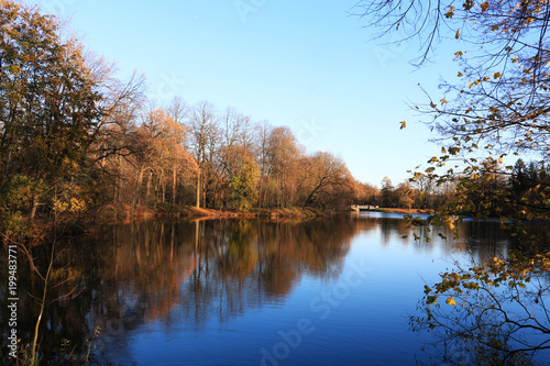 autumn trees on the shore of a pond