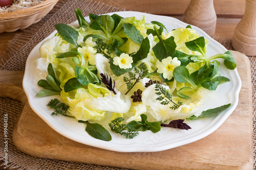 Spring salad with primula, nipplewort and other wild edible plants photo