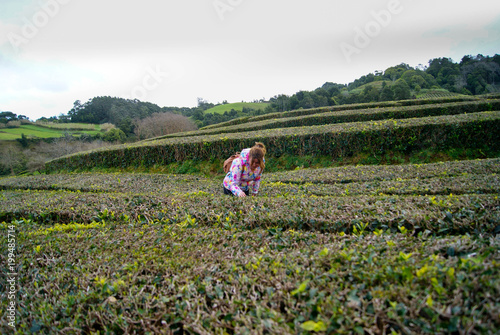 Young girl touching tea plants in San Miguel, Azores islands.