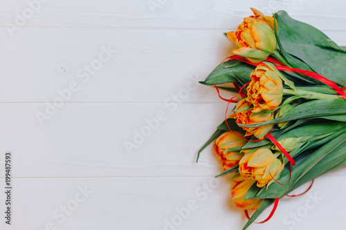 orange tulips on white wooden background