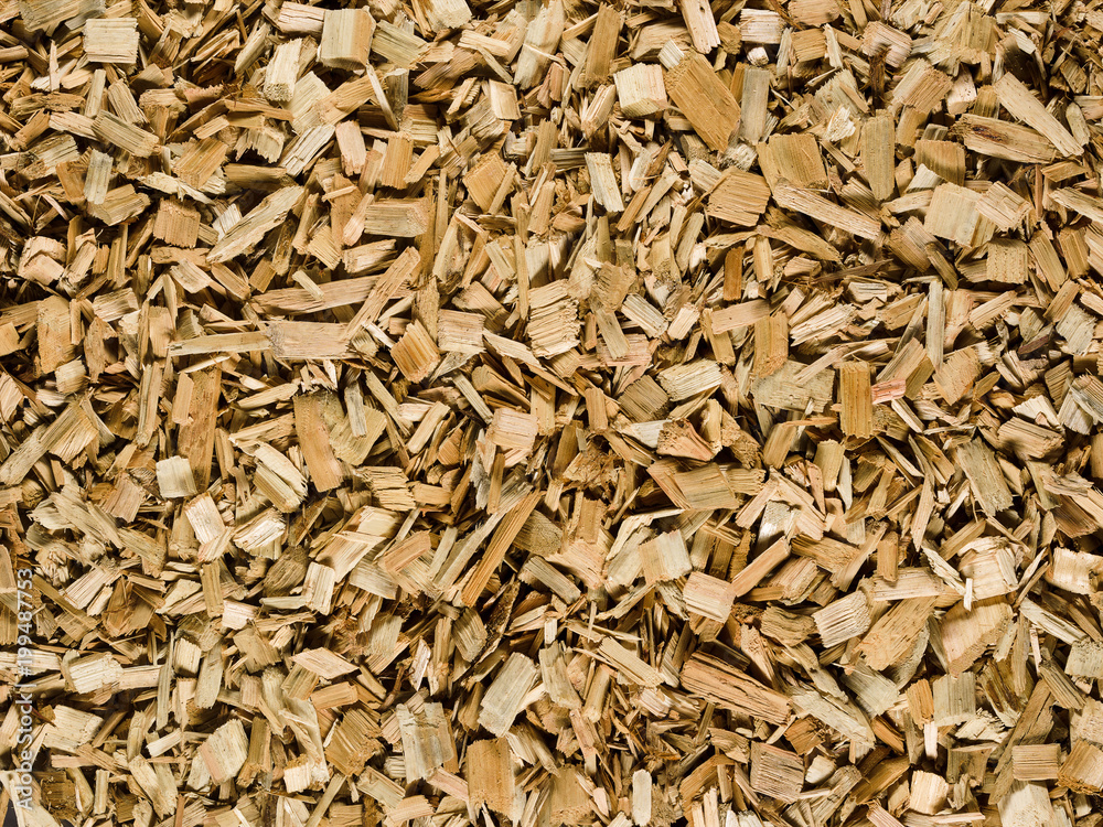 Light brown tan wood chips create abstract rough-textured organic background surface Light brown tan wood chips create abstract rough-textured organic background surface
