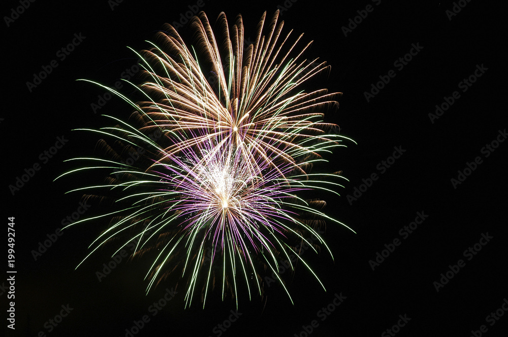 firework firework