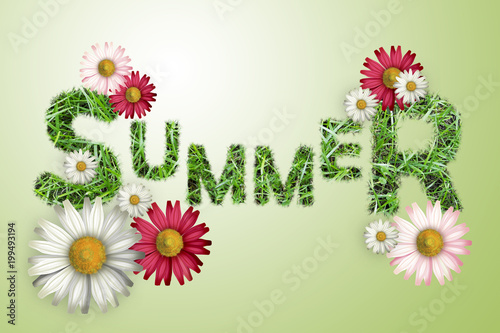 The word "summer" texture of a green grass, white and pink daisies on a green background, illustration