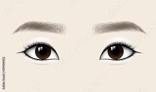 Beautiful Asian Woman Eyes and Brows. Vector illustration.