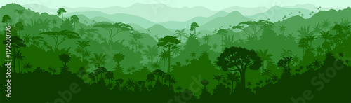 Vector horizontal seamless tropical rainforest Jungle background