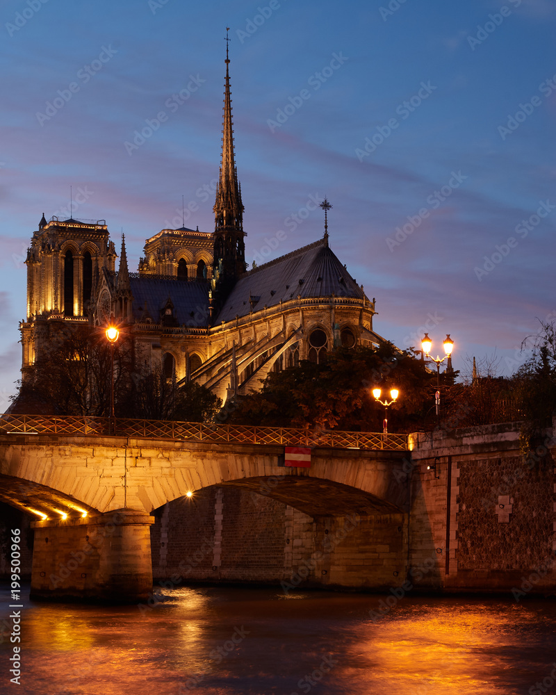 Notre Dame at night, Paris, France