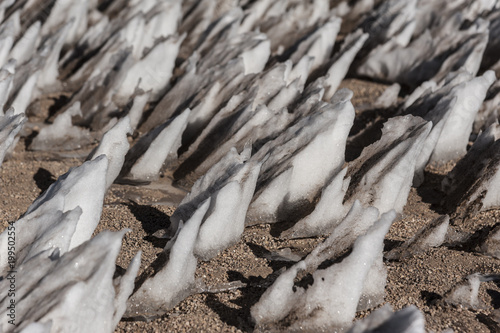 Ice formations in the Siloli desert of Bolivia near the Uyuni salt flat, South America.
