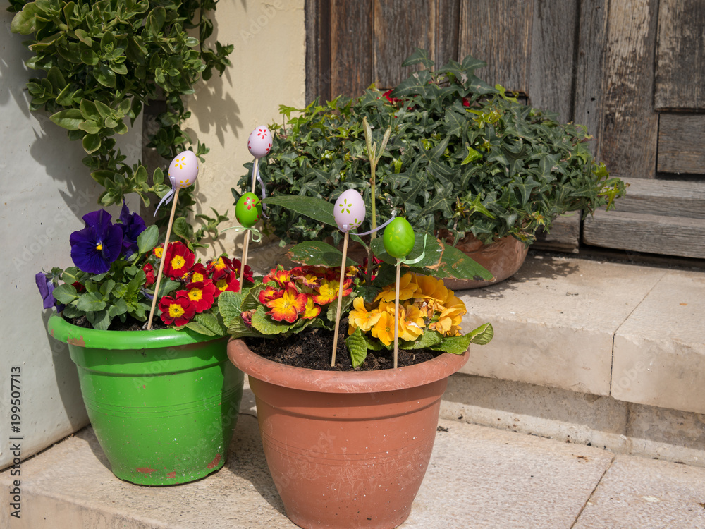 Flower pots with flowers and easter eggs