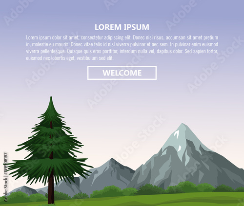 Beautiful landscape infographic vector illustration graphic design