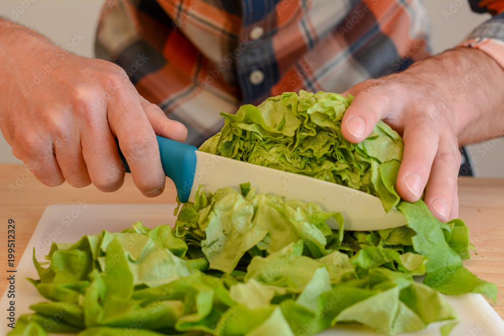 Up close cutting lettuce Up close cutting lettuce