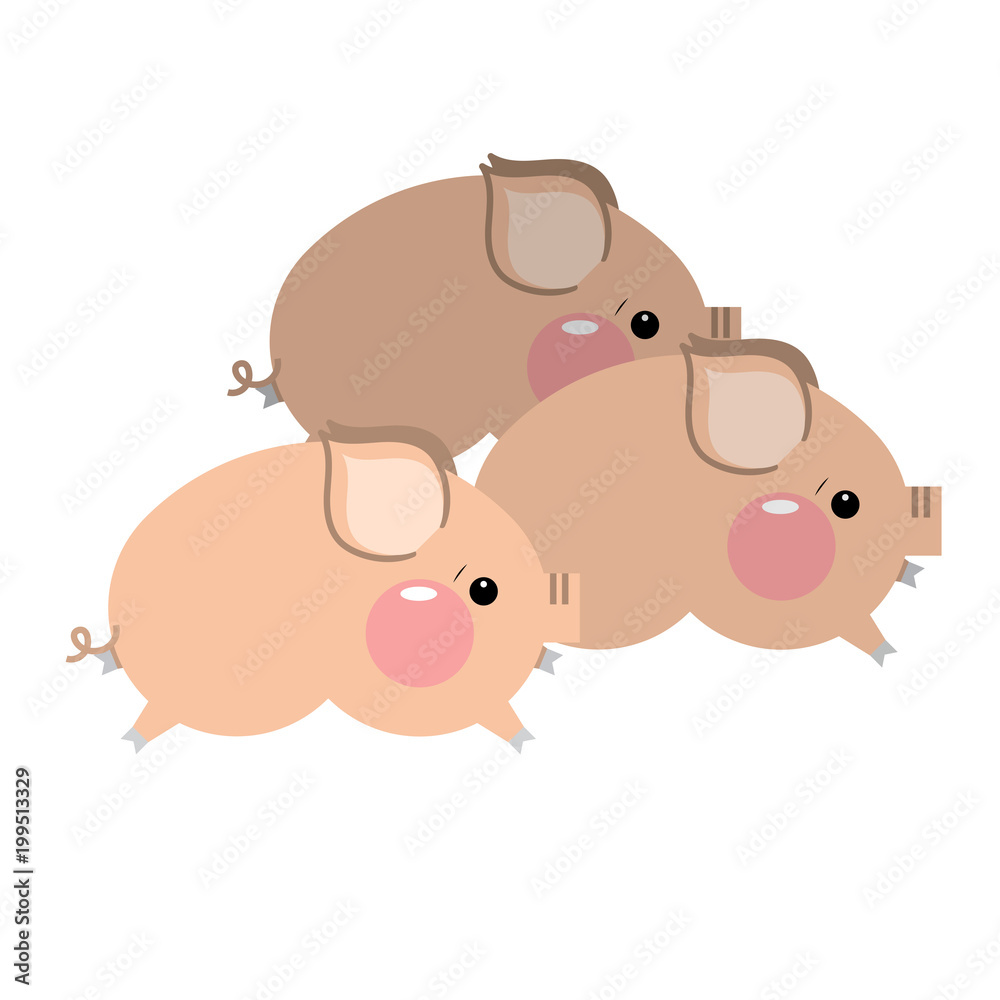 Cute pigs cartoon, vector illustration