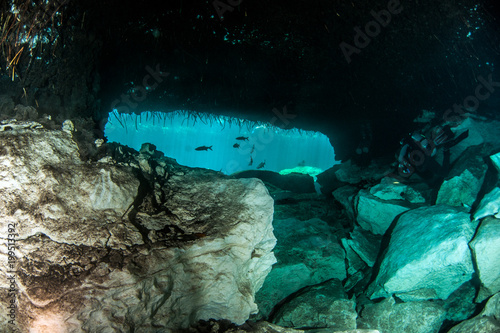 Diving at the Casa Cenote, Yucatan, Mexico