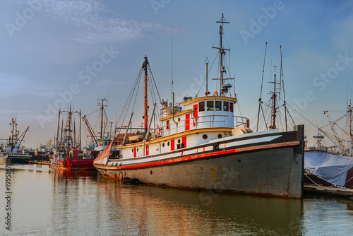 fishing boats and boats on the dock in the summer evening