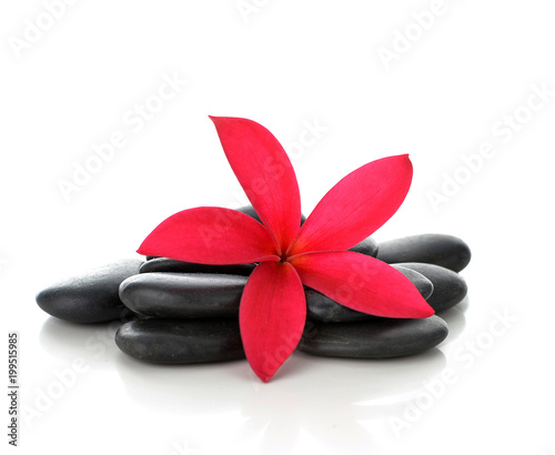 red orchid and stones on the white background