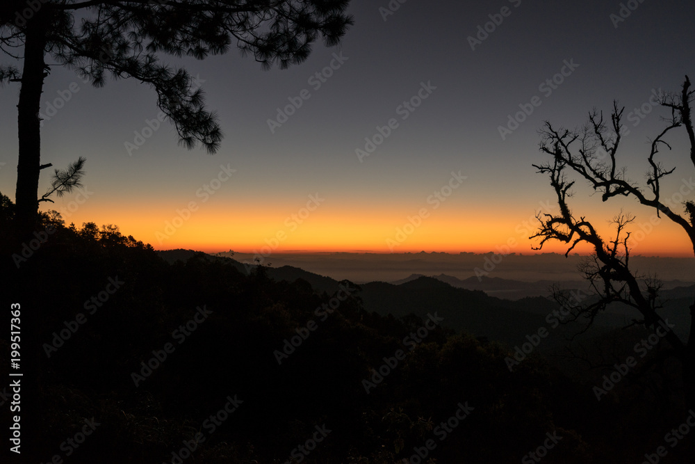 scenic of sunrise sky with hill of dry tree silhouette