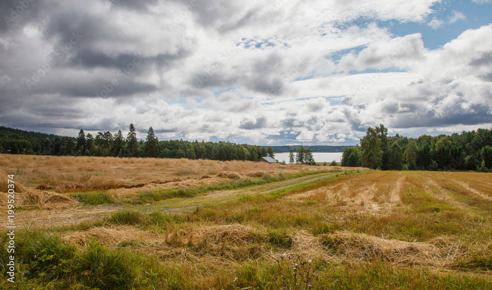 Arable land by the lake, Finland, tonning.Spring view Arable land by the lake, Finland, tonning.Spring view