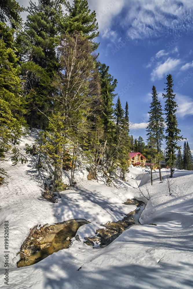 Vertical winter background with forest and house in March sunny weather
