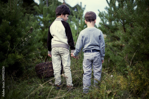 Boys with a basket walk through the forest, holding hands.