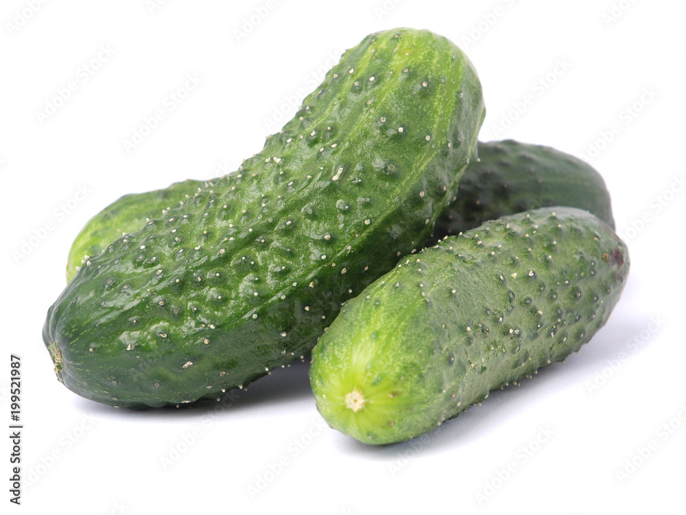 Fresh cucumber Fresh cucumber