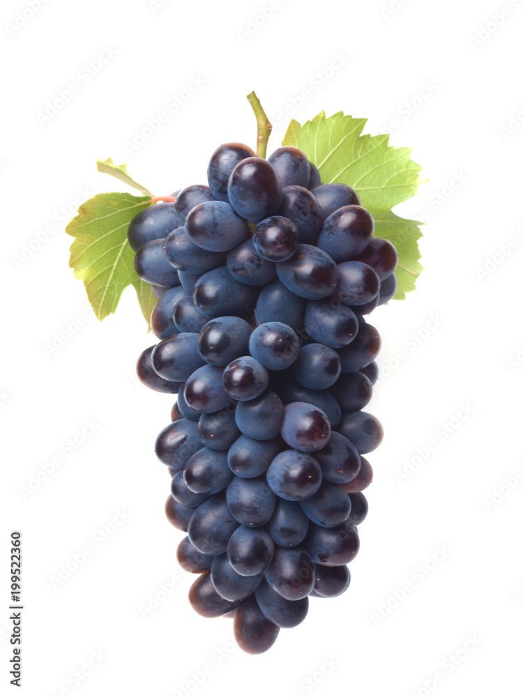 Fototapeta premium Grape fruit