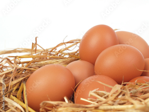 Fresh eggs