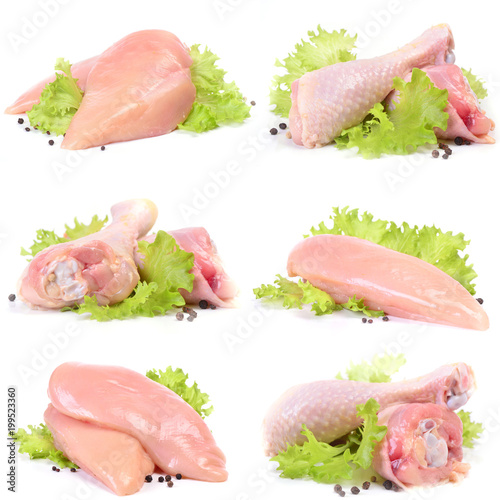 Meat chicken