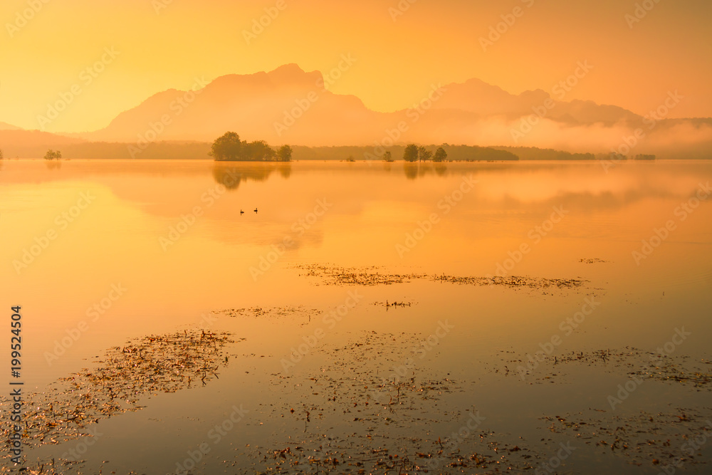 Landscape of lake 