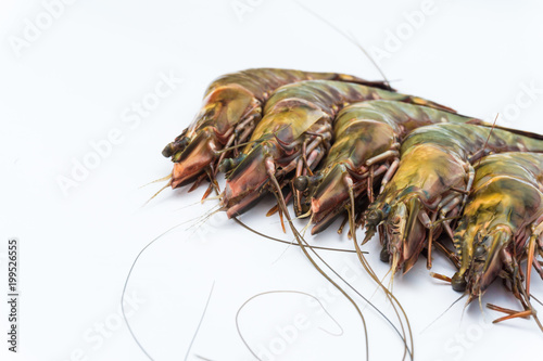Fresh raw tiger prawn shrimp isolated on white © themorningglory