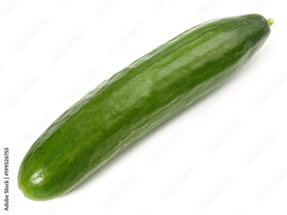 Salatgurke - klein Salatgurke - klein